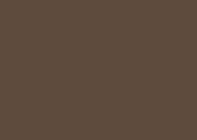 beaver_brown