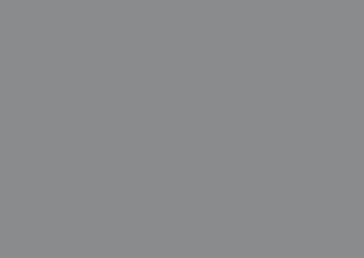 dove_gray