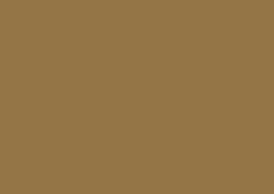buckskin-brown